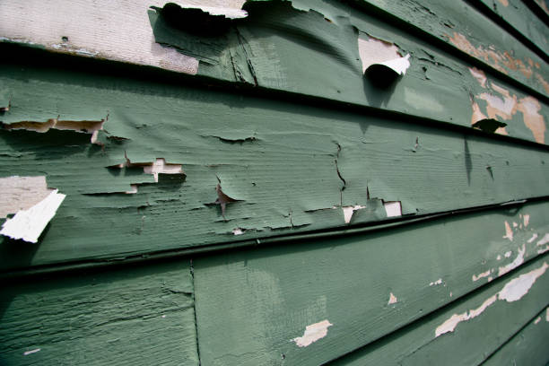 Best Storm Damage Siding Repair  in Flourtown, PA